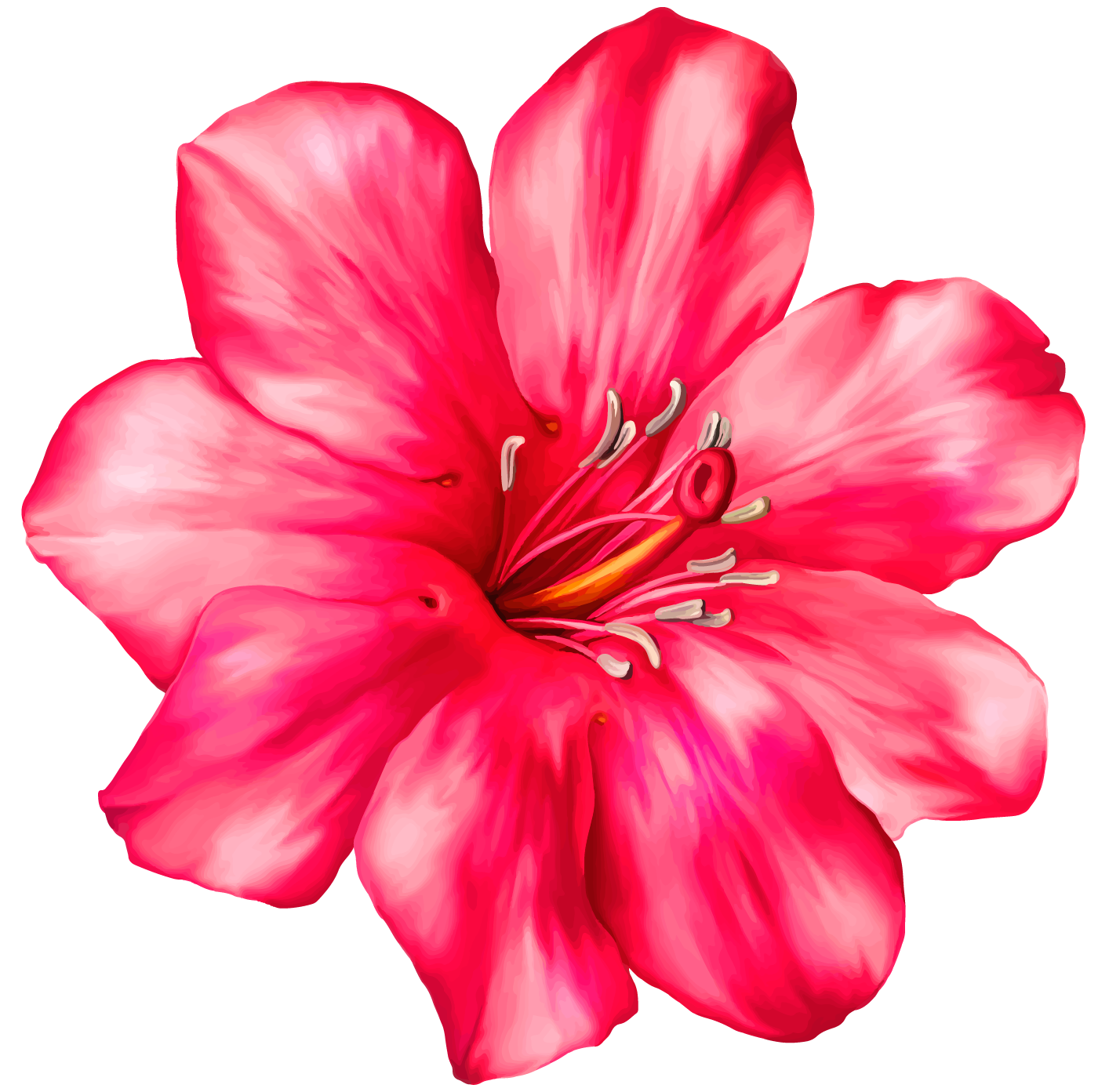 Flower Decoration