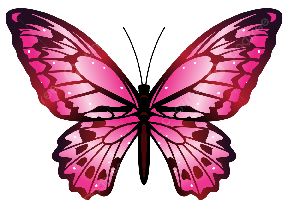 Butterfly Decoration